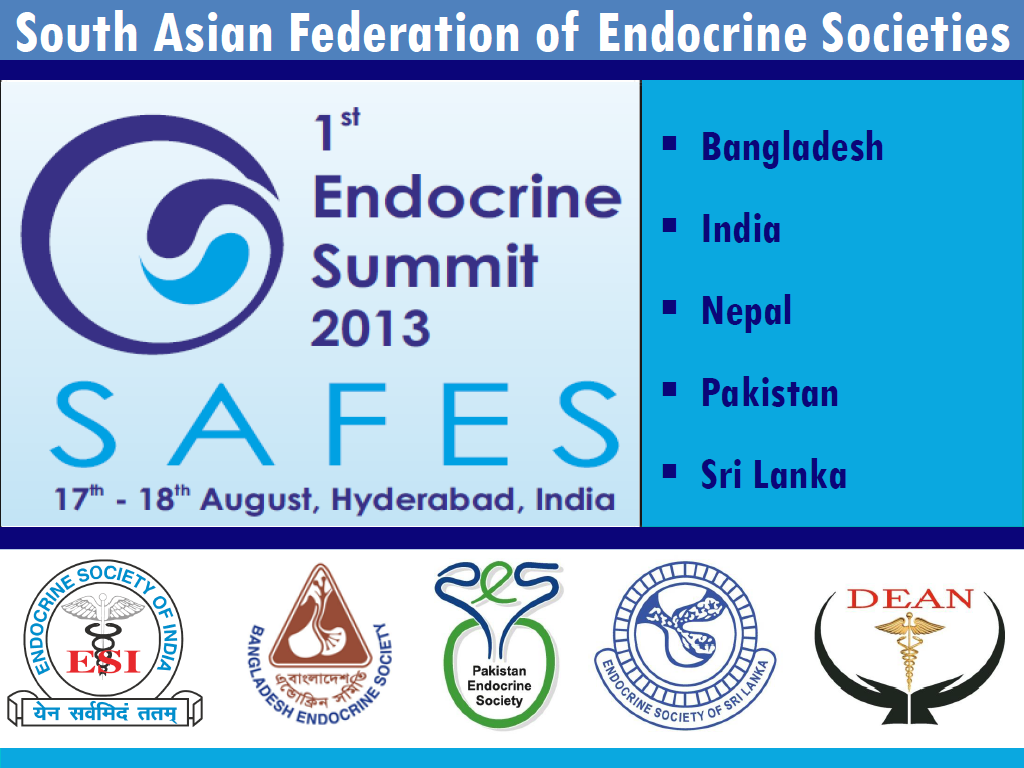 1st Endocrine Summit 2013 Official Banner Slide